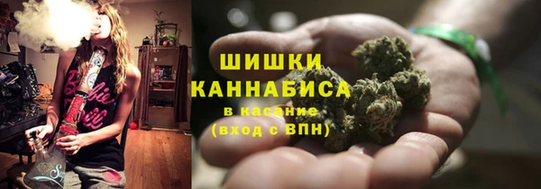 дживик Костерёво
