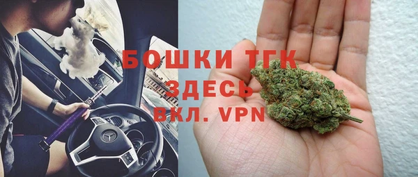 дживик Пенза